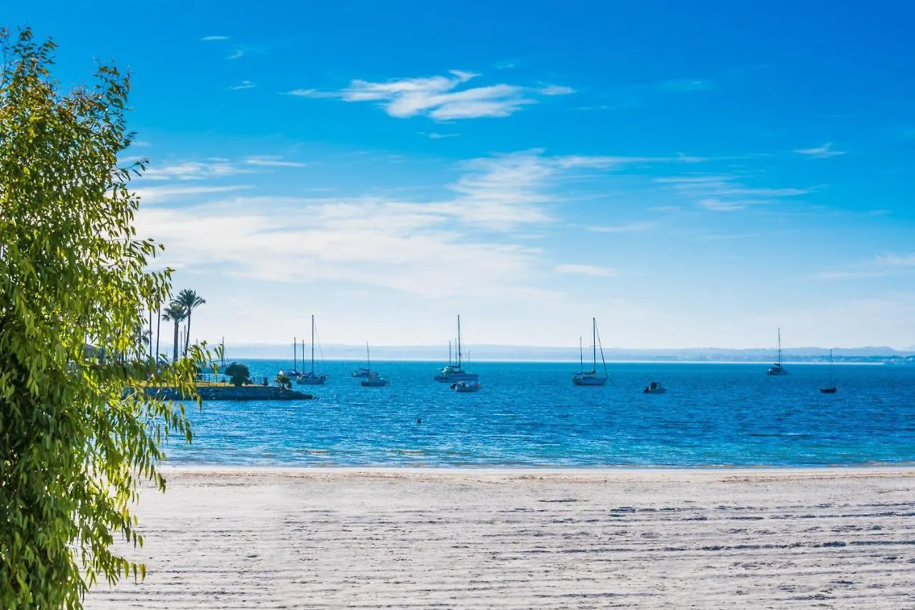 Ideal Property Mallorca - Blue Sea Port de Alcudia  Port de Alcudia (Mallorca)